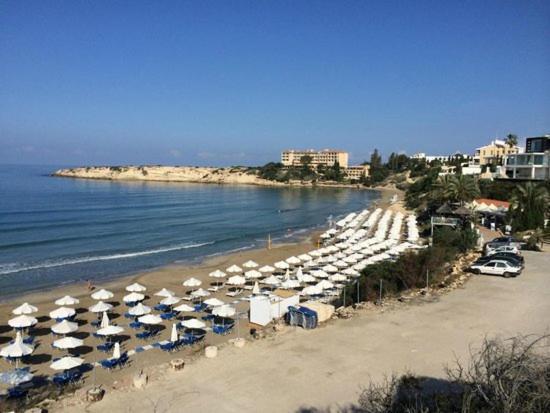 Paradise Gardens IV 2 Bd Amazing Apartment Paphos Exteriör bild